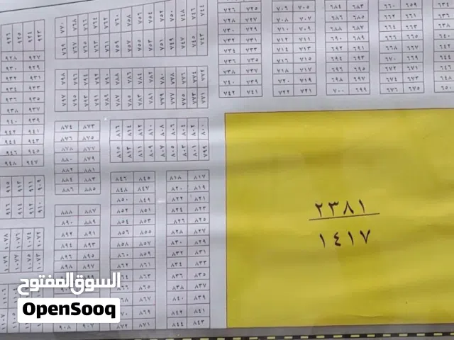 قــطعــة للبيع في مقاطعــة الاسـاتــذة 81 - التوزيع الاول