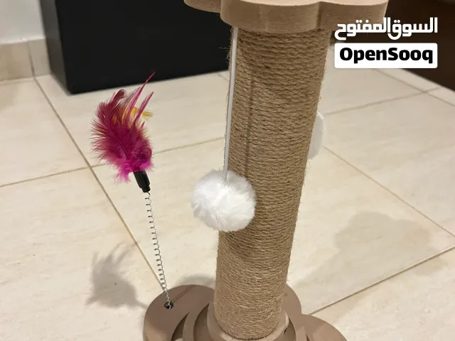 خادشه قطط مميزه وجديده ولعبه مائيه