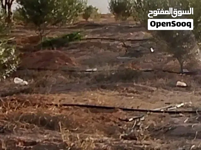 قطعة ارض للبيع في الحمرة