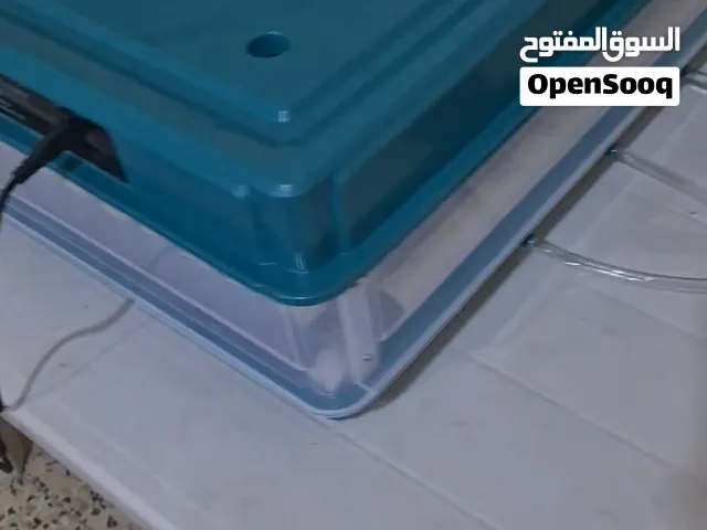 حضانه 130بيضه