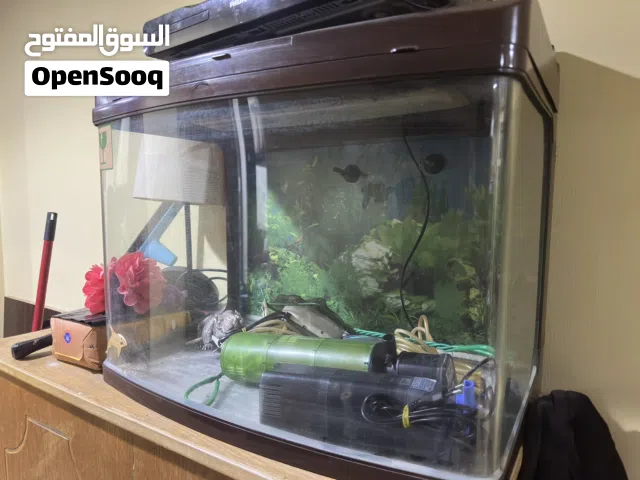 Fish tank with accessories