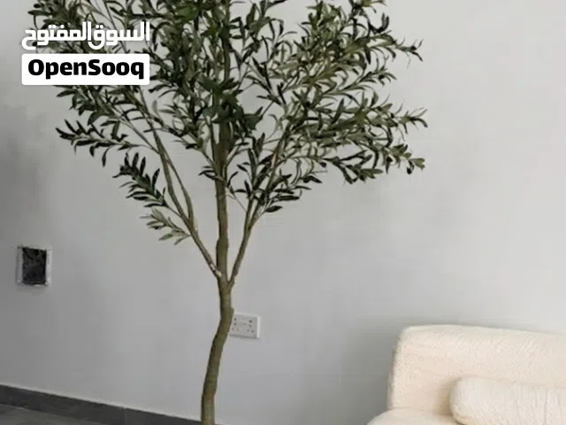 شجرة زيتون صناعية بتصميم مودرن (180 سم تقريباً) Olive trees add a touch of luxury to your home's dec