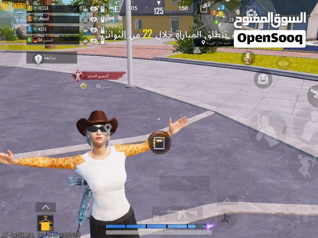 Pubg Accounts and Characters for Sale in Unaizah
