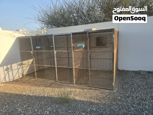 للبيع قفص للطيور بحجم كبير