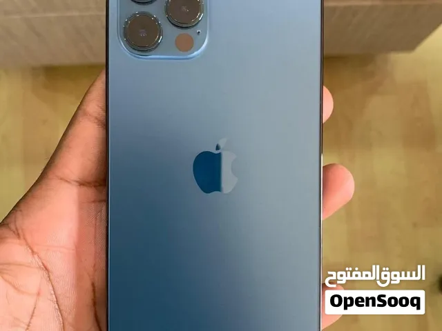 IPhone 12 Pro for seal