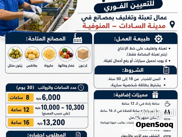 شغل ف السادات