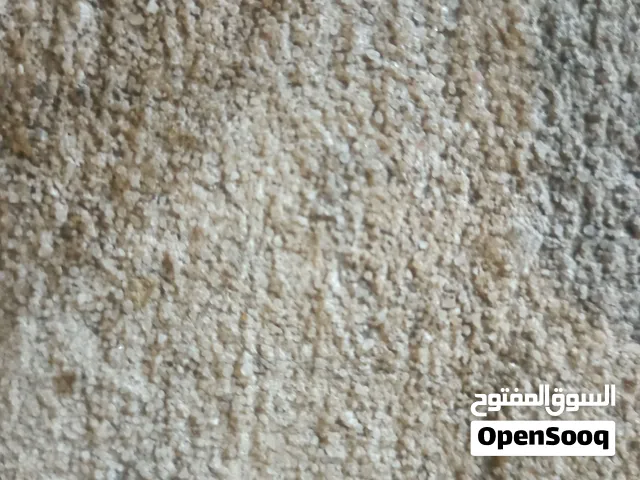استديو أو غرف برايفت للايجار الشهري