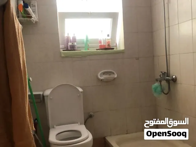 سكن شباب للايجار في الروله