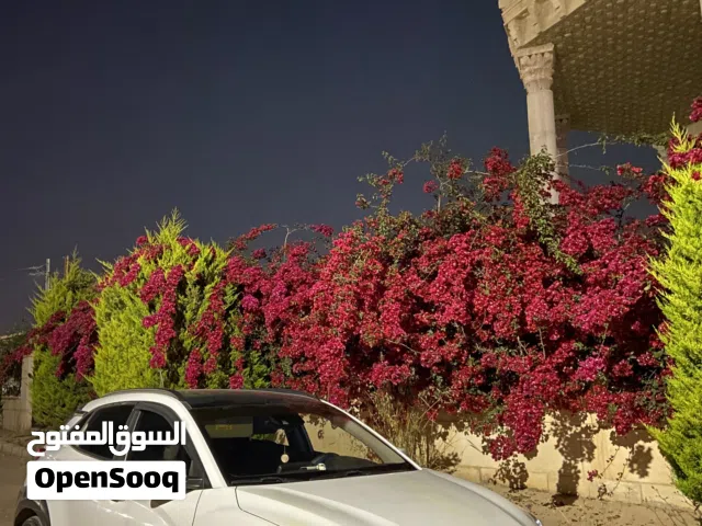 Used Hyundai Kona in Irbid
