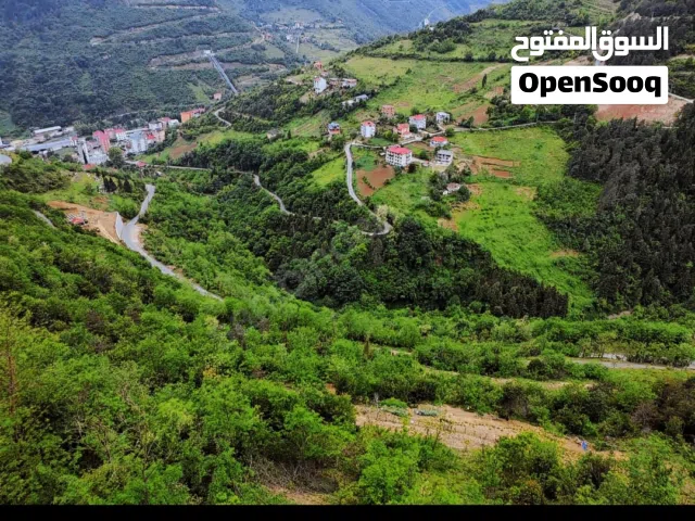 FOR SALE BY OWNER: VILLA PLOT WITH BUILDING PERMIT, SURROUNDED BY GREENERY, IN HARMONY WITH NATURE