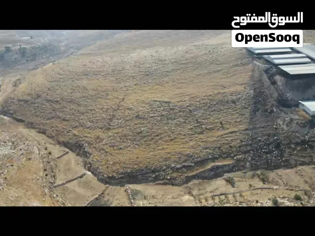 أرض للبيع في دورا - الخليل  سعر لقطة ومناسبة جداً