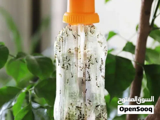 افخاخ ذبابة الفاكهة ب 700 بيسة كمية محدودة حتى نفاذ الكمية