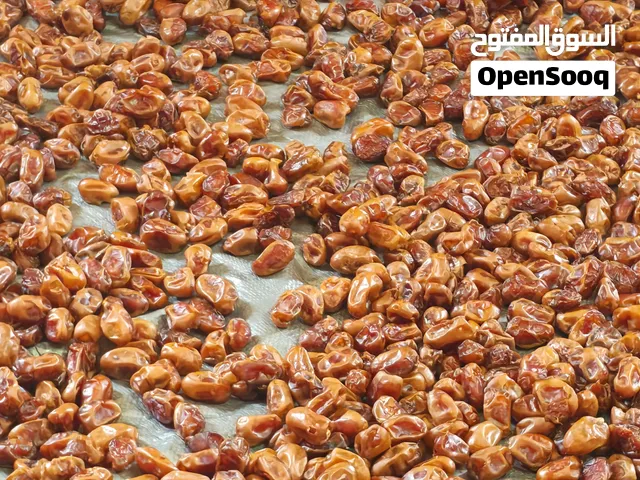 تمر خلاص انتاج 2026 م
