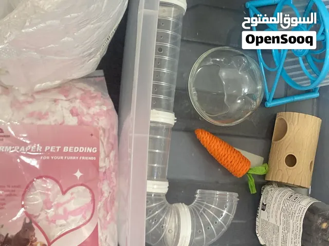 اللعاب للهامستر 2BDو خشب حجم كبير 3BDو البوكس 1BD