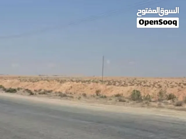 هكتارات تجاريه