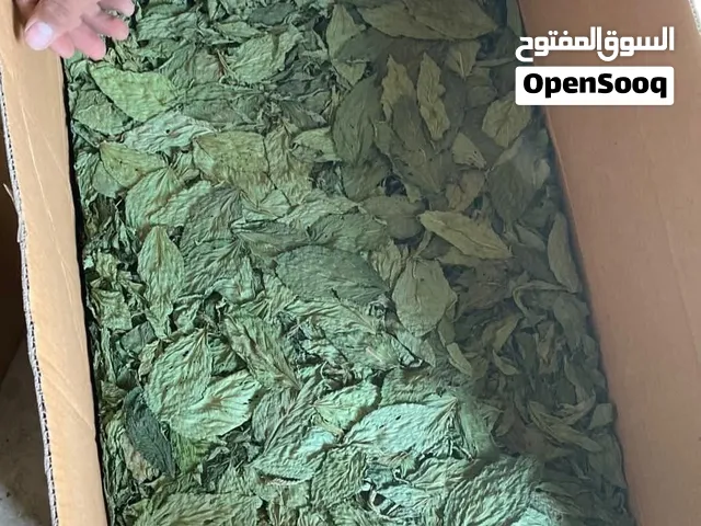 ملوخيه تصدير اوراق لجميع انحاء العالم ومحليه