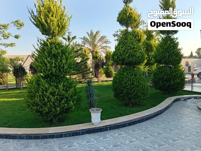 فرصة استثماريه مميزة للبيع – أرض بموقع ممتاز وبسعر ممتاز