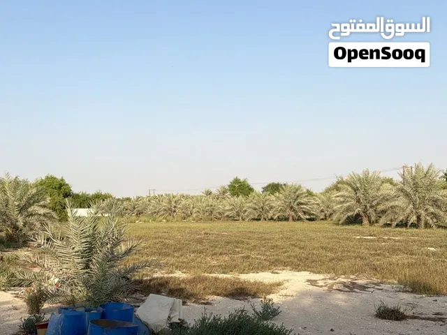 مزرعة للبيع في السمحه موقع مميز بالرقب من كيزاد
