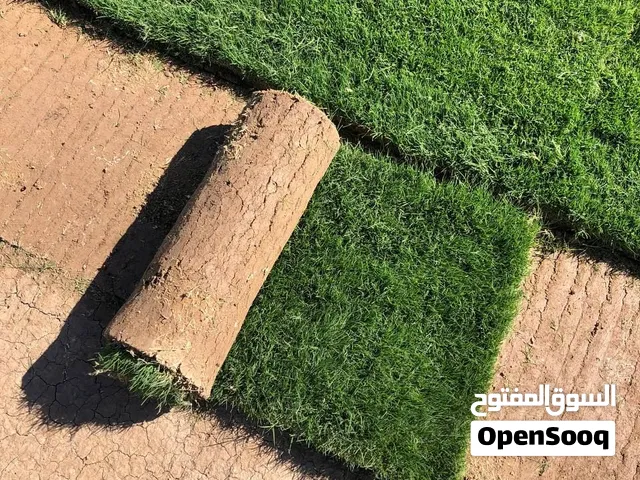 ثيل طبيعي اخضر