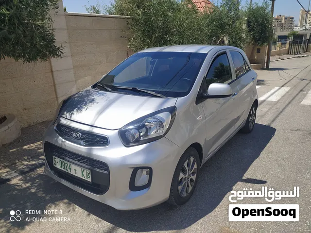 فحص نخب/ترخيص وتامين شامل فل الفل بدون فتحه