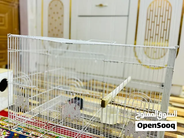 قفص طيور كوكتيل تزاوج للبيع تفاصيل ب وصف