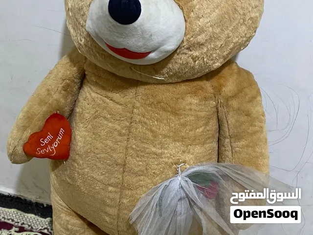 دب عملاق للبيع