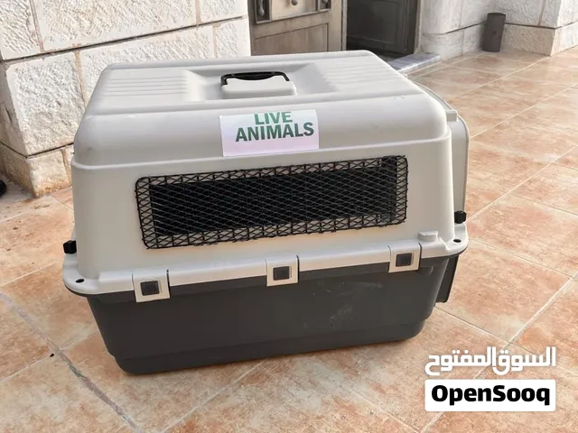 مجموعة مستلزمات قطط (صندوق نقل وطيران + صندوق تراب + صحن ستانلس)
