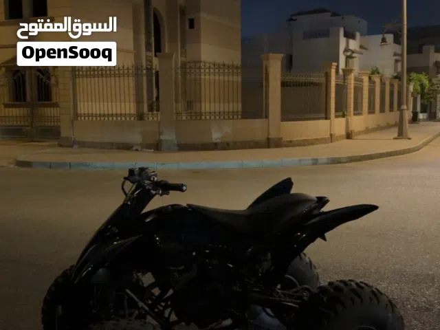 Yamaha raptor 250 2009