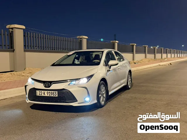 كورلا ساز 2024