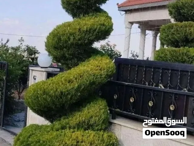 خدمات الحدائق المنزليه ، تقليم وتشكيل الاشجار ، عمل الأحواض والأرصفه، إزالة الأعشاب وتقليب التربة