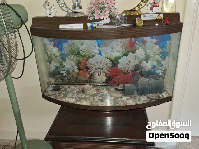 حوض سمك تفاصيل