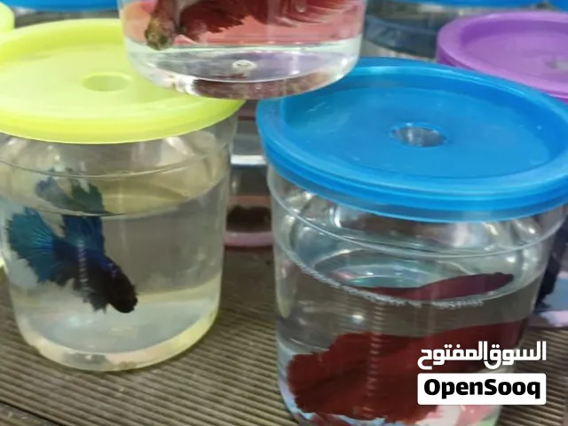 بيع متعدد الأغراض