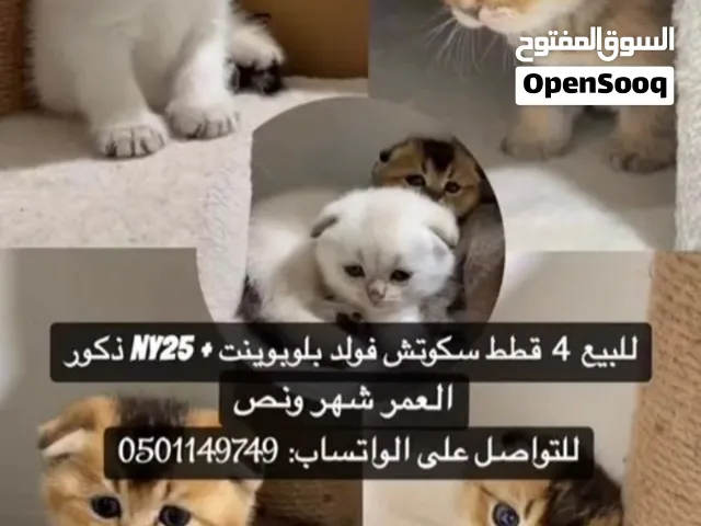 للبيع العمر شهر ونص التواصل واتس فقط
