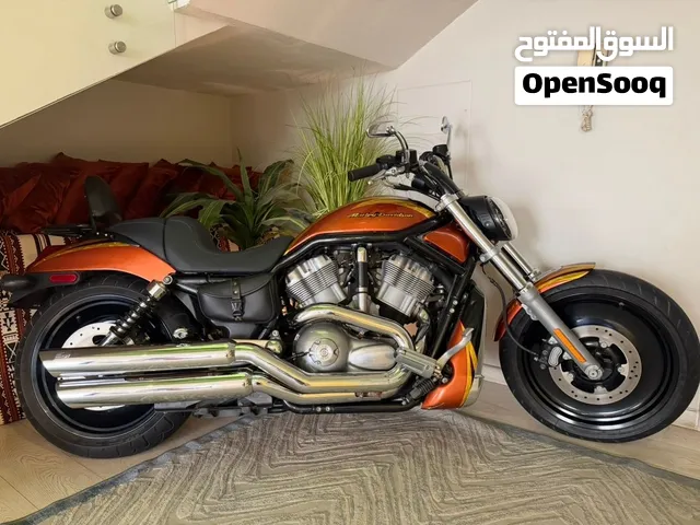 دراجة هارلي ديفيدسون في-رود قطعة كولكشن موديل 2004 Harley-Davidson V-Rod (Collector's Item)