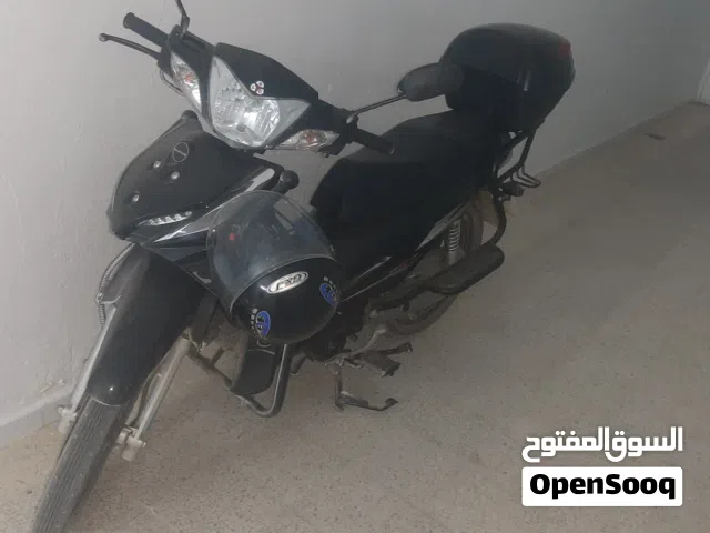 DAYUN 110 sport
