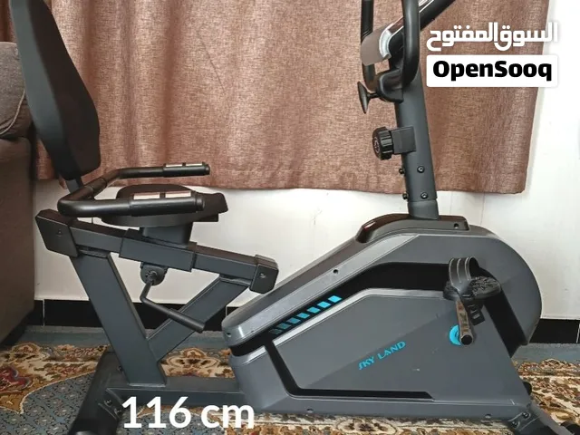 Skyland Recumbent Exercise Bike