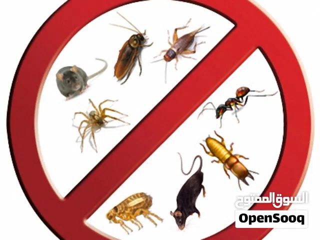 مكافحه حشرات بالكويت