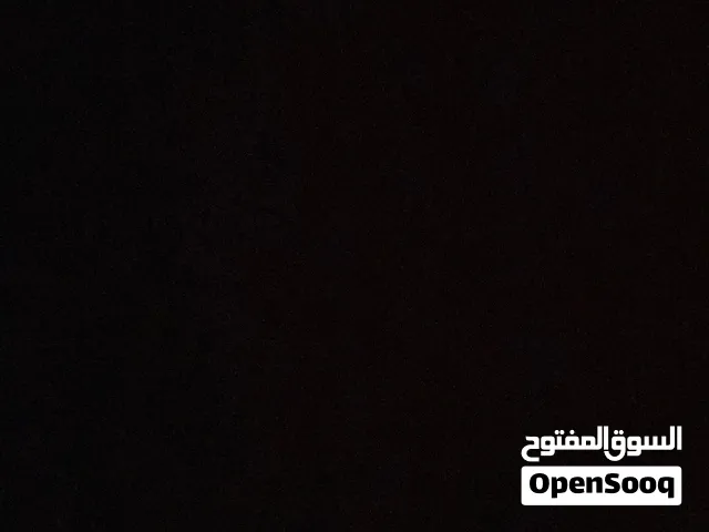 مطلوب حمار كبير