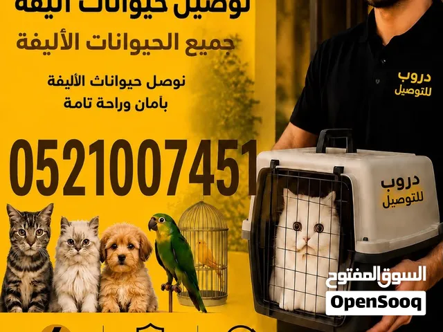 مندوب توصيل كلاب وقطط وحيوانات اليفه ، توصيل طلبات وكل مستلزمات
