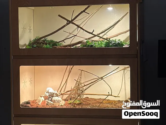 حوض حيوانات انيق وجميل - multi story pet tank