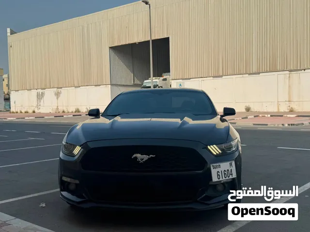 Manual Gear Lovers - Ford Mustang EcoBoost 2.3L V4 2017 - Just buy and Drive
