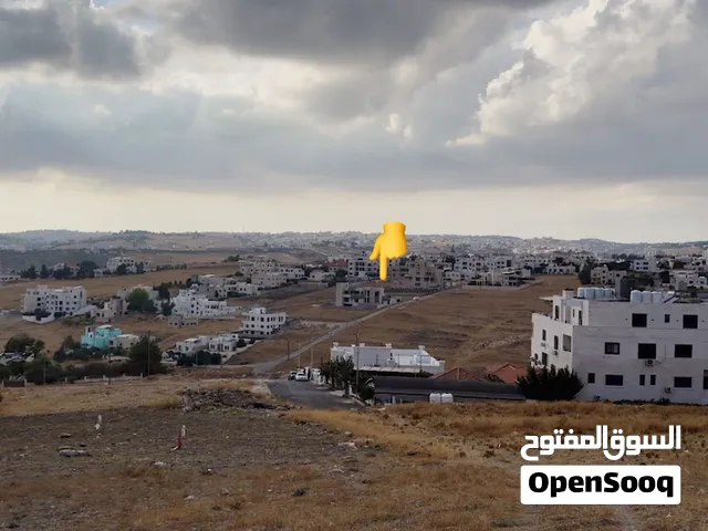 ارض في السرو سكن خاص منطقة فلل حديثة ومرتفعة