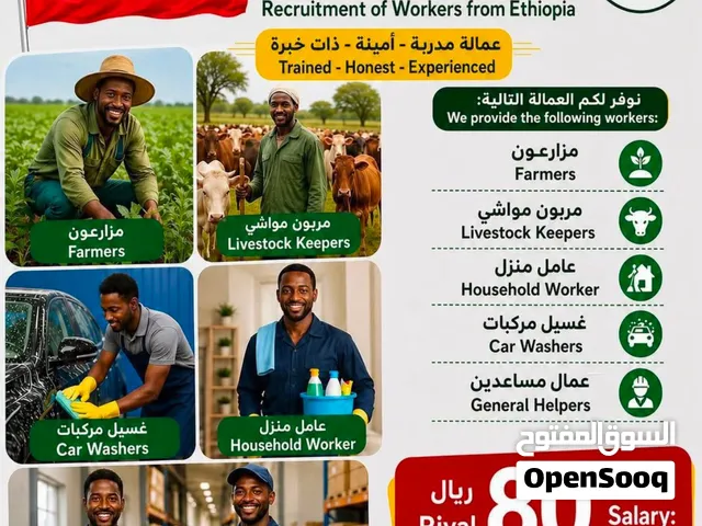 نوفر عمال بدون عموله عمال مزارع وعمال عزب وعمال مقاولات.