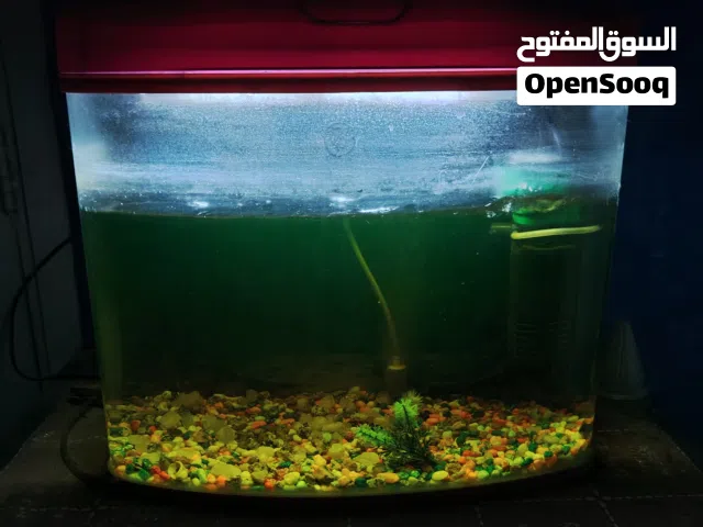 حوض سمك للبيع