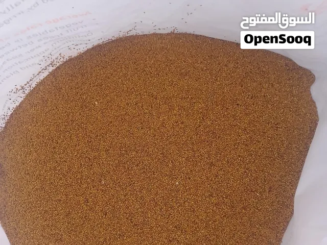 بذر قت عماني نظيف بدون حشائش وشوير انتاج الظاهره