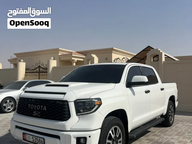 تنادرا بحالة جيدة جدا  Tundra in very good condition