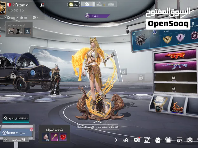 حساب ببجي للبيع