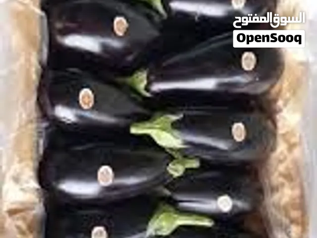 ترجمه دقیق جملهای که نوشتید:  إنتاج وبيع جميع أنواع المنسوجات والشحن إلى الدول العربية.