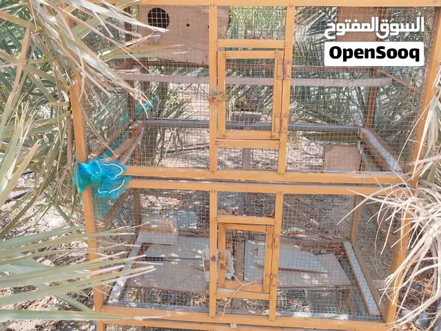 قفص للطيور