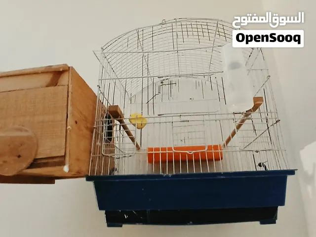 زوج كوكتيل تبارك الرحمان أنتاية طفرة